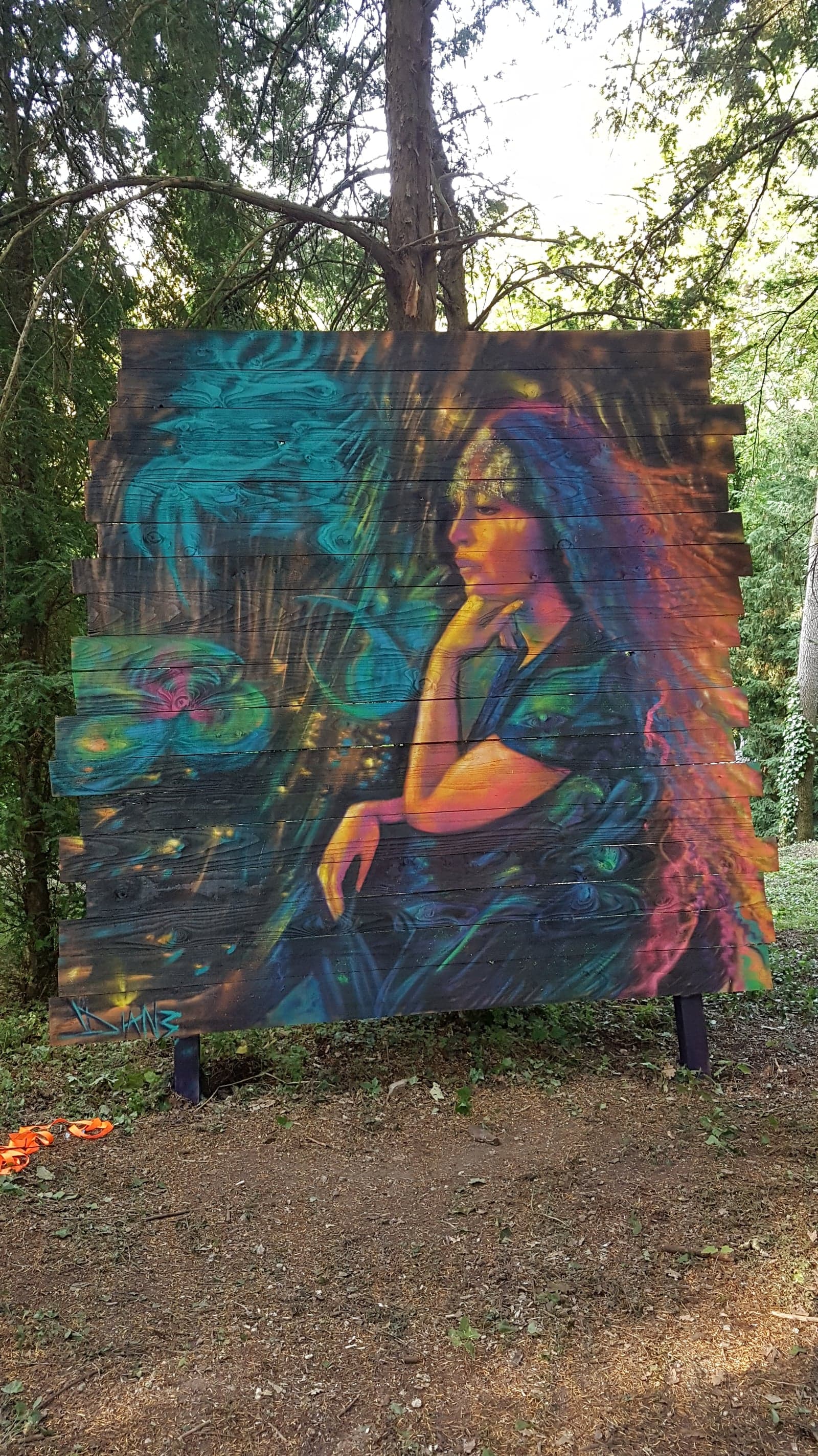 Fresque sur panneau en forêt — femme méditative multicolore