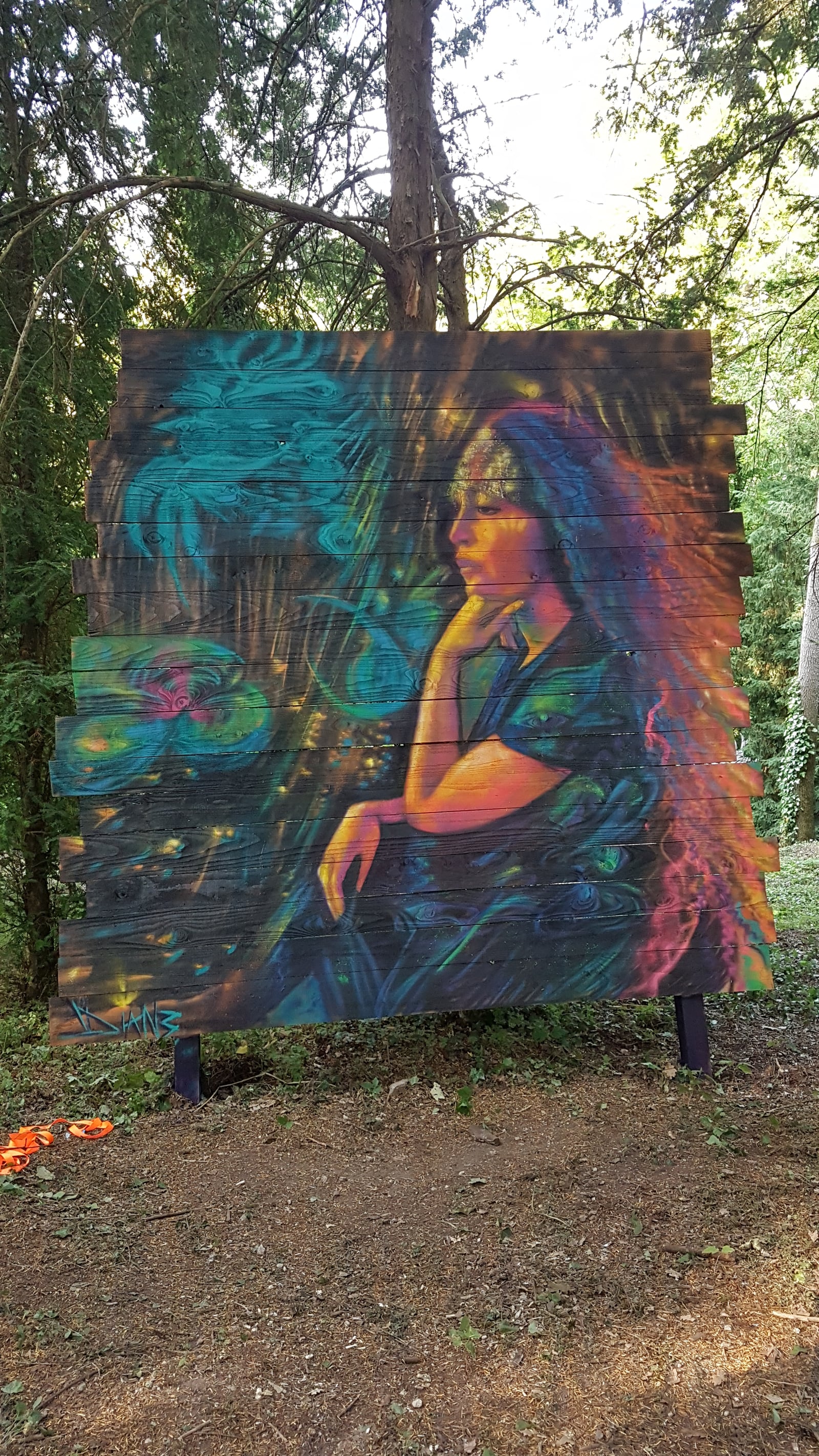 Fresque sur panneau en forêt — femme méditative multicolore